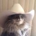 Devan Mcbride - Facebook