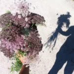 Devon Mcgrath - @devonbouquet - Instagram