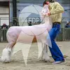 devon - @devonmckinney00 - TikTok