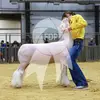 devonmckinney75 - @devonmckinney75 - TikTok
