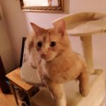Devon Meyer - @devon.meyer.355 - Instagram