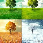 DEVON MEYER - @devonmeyer8 - Instagram