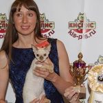 Devon Rex cattery 🐾MONKBERRY MOON 🌙 Питомник ДЕВОН-РЕКС МОСКВА - @devonrexrus - Instagram