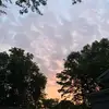 Devon  Nolan - @devon.nolan - TikTok