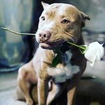 devon olson - @gamerboy_mvg_yt - Instagram