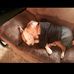 Devon Parrish - Facebook