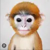 Devon Payne - @devon.payne2 - TikTok
