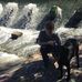 Devin Pope - Facebook