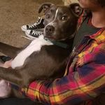 Devon Rollins - @plain_old_devon - Instagram