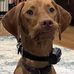 Devon Rooney - Facebook