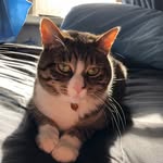 Devon Rooney - @devon_rooney910 - Instagram