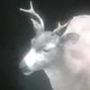 FRICKINGMINT - @devonrossman863 - TikTok