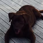 @devon_roush1 - Instagram