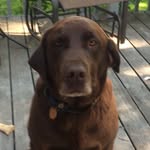 @devon_roush - Instagram