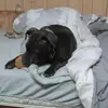 Devon Ruggles - @devon.ruggles - TikTok