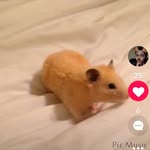 Devon - @devon_rules_ - Instagram