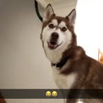 Devon Rushton - @baileypart20 - Instagram