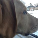 Devon Rutherford - @kidspinsavage - Instagram