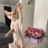 Devon_Sam - @devon_sam - TikTok