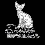 Devons Amour | Devon Rex Cattery Mirabel, QC, Canada - @devons_amour - Instagram