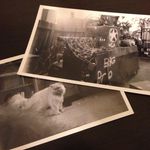 Devon De Los Santos - @dev_r_cats_and_r_tanks - Instagram