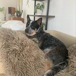 Devon Saunders - @devon_s618 - Instagram