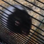 Devin Scarborough - @devin_7265 - Instagram