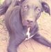 Devin Schrader - Facebook