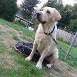 Devin Schubert - @devjev06 - Instagram