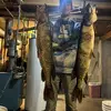 devonseaman - @devonseaman8 - TikTok
