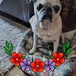 Devon Shafer - @shaferdevon790 - Instagram