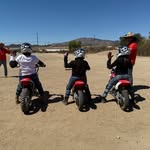 DEVONSHIRE PALS - @lapddevonshirepals - Instagram