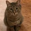 devon_silva88 - @devon_silva88 - TikTok