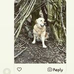 Devon Skelton - @trainingandin - Instagram