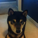 Devon Slone - @devon_slone - Instagram