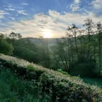 Chris Shears - @devon_smallholding - Instagram