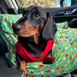 Devon - @devonsmallgoods - Instagram