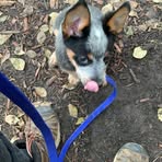 Devin Smallwood - Facebook