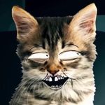 Devon Snell - @dcsnelly - Instagram