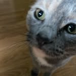 Devon Sparrow - @_herocow_ - Instagram