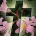 Devon Spychalski - Facebook