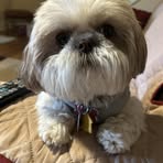 Devon Stanfield - Facebook