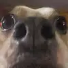 Devin Steiner - @devinsteiner3 - TikTok