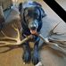 Devon Stephenson - Facebook