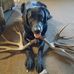Devon Stephenson - Facebook
