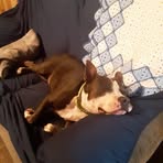 Devon Sterling - Facebook