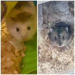 Devon Stevenson - @devon.stevenson.3344 - Instagram