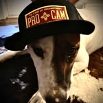 Devon Stinson - @devostins - Instagram