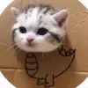 Devin Stoddard - @devin_stoddard - TikTok
