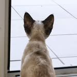 devonrexstory - @devonrexstory - Instagram